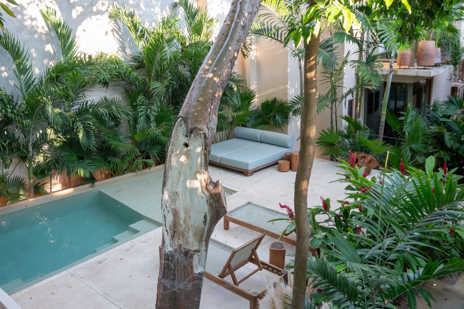 Pool & garden from above