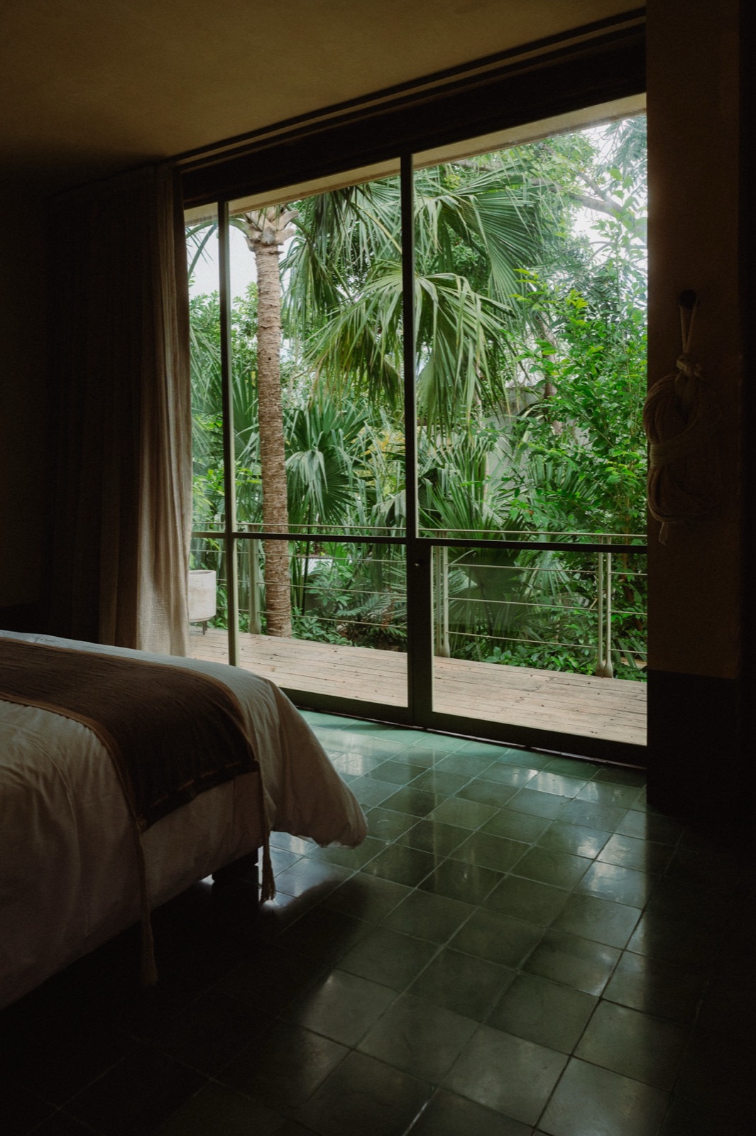 Jungle View Room