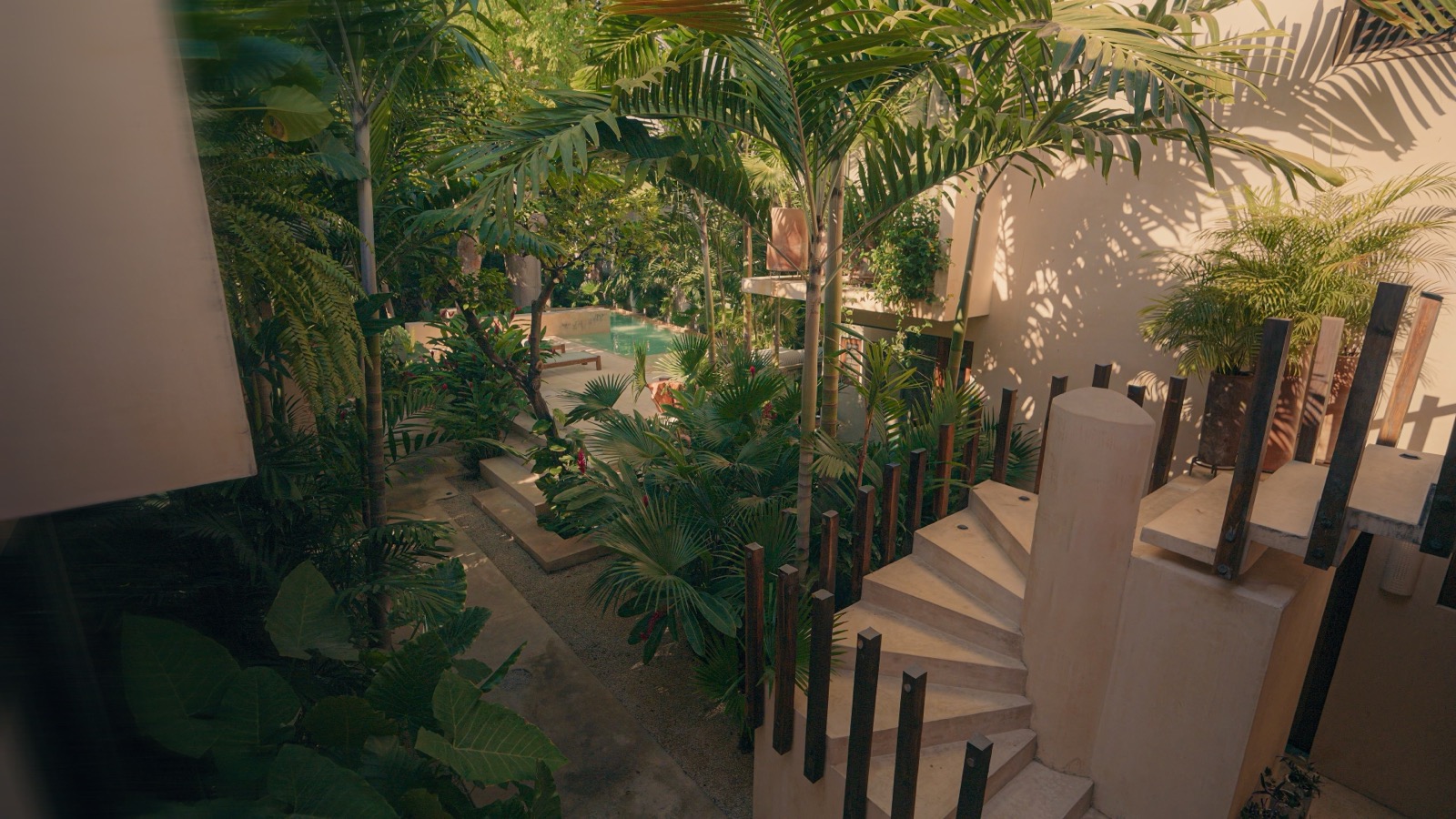 The planted tropical garden at Casa Querida — palms, monsteras and the pool beyond